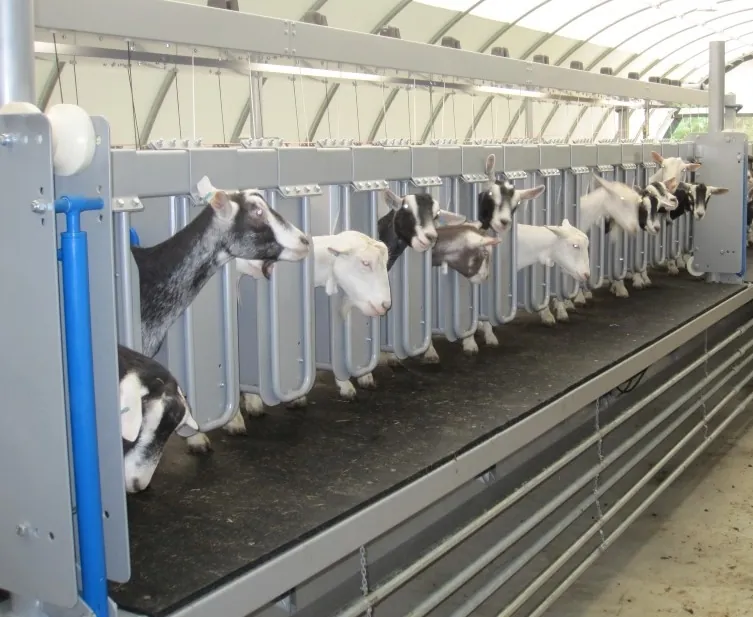 Мобільний доїльний зал для кіз Dairymaster MobiGoat